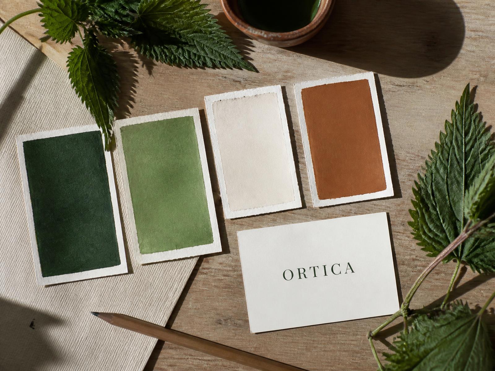 Campioni di palette dipinti a mano con foglie di ortica fresche