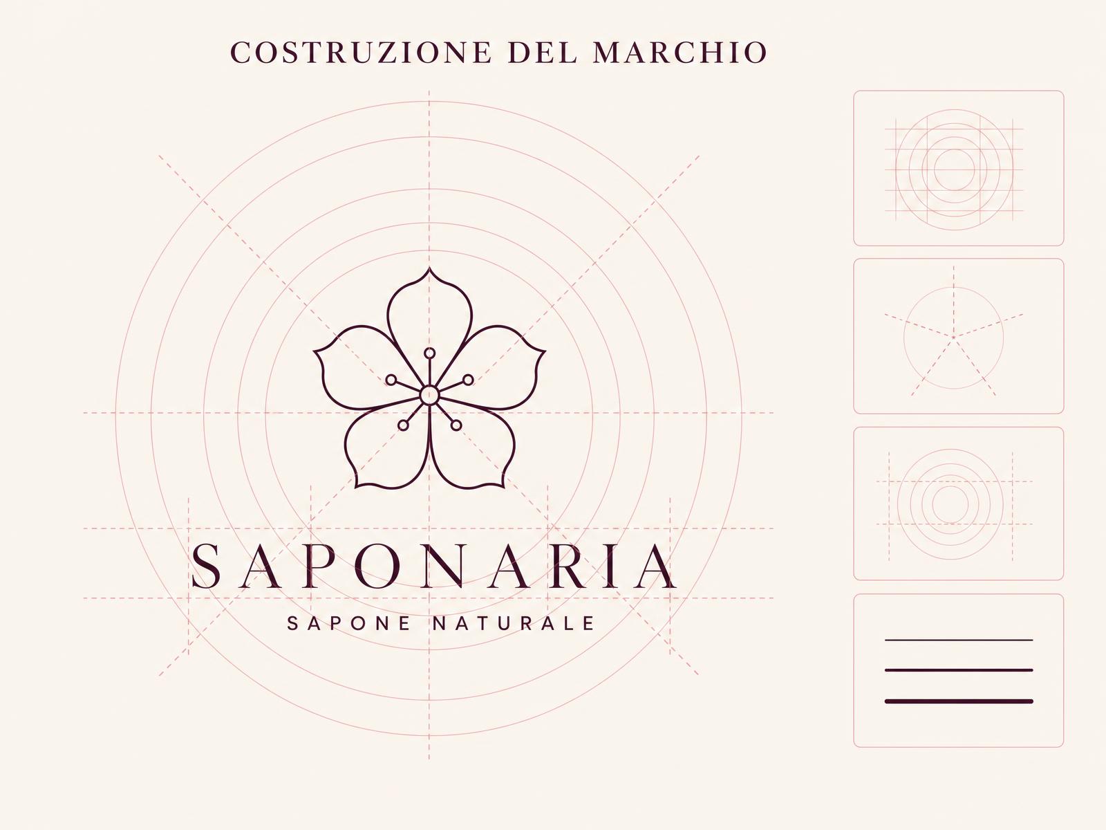 Costruzione del logo — Saponaria